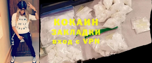 твердый Арсеньев