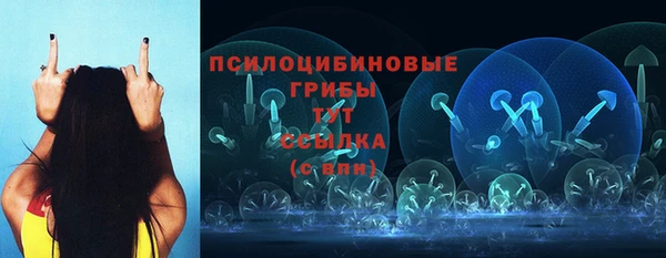 ПСИЛОЦИБИНОВЫЕ ГРИБЫ Алзамай
