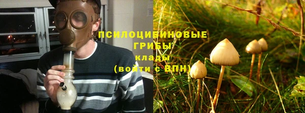 ПСИЛОЦИБИНОВЫЕ ГРИБЫ Алзамай
